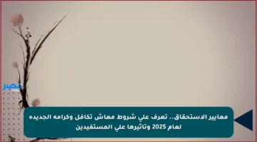 معايير الاستحقاق.. تعرف على شروط معاش تكافل وكرامة الجديدة لعام 2025 وتأثيرها على المستفيدين
